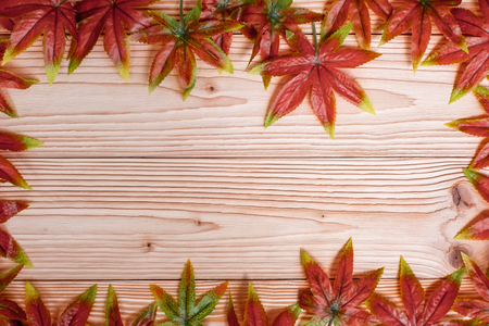 Autumn Maple leaves on wooden background. Top view and Copy space for your textの写真素材