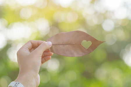 Woman hand holding dried leaf with heart shape on green natural background in the garden outdoor. Social Responsibility Love and  Happy Valentineâs Day conceptsの写真素材