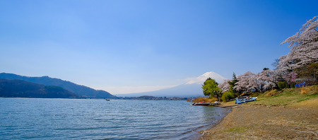 Mount Fuji with snow capped, blue sky and beautiful Cherry Blossom or pink Sakura flower tree in Spring Season at Lake kawaguchiko, Yamanashi, Japan. landmark and popular for tourist attractionsの写真素材