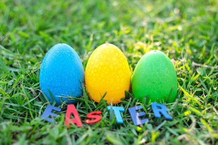 Happy Easter with Colorful Eggs cute bunny in the morning, Funny decoration in grass spring seasonの写真素材