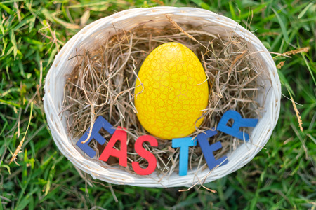 Happy Easter with Colorful Eggs cute bunny in the morning, Funny decoration in grass spring season