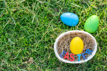 Happy Easter with Colorful Eggs cute bunny in the morning, Funny decoration in grass spring season