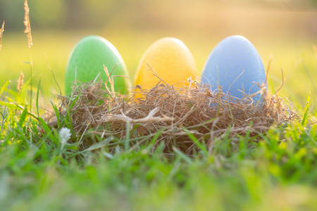Happy Easter with Colorful Eggs cute bunny in the morning, Funny decoration in grass spring seasonの写真素材