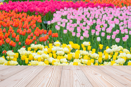 Empty wood table with colorful Tulip flower background in spring season, Mock up for your product display or montageの写真素材