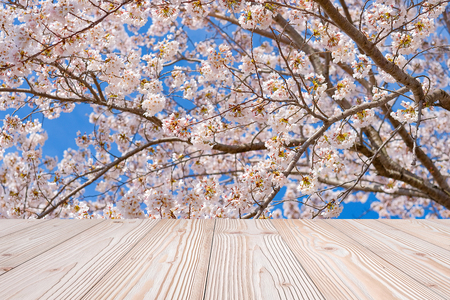 Empty wood table with beautiful pink cherry blossom flower background in spring season, at Lake kawaguchiko, Yamanashi, Japan. Mock up for your product display or montageの写真素材