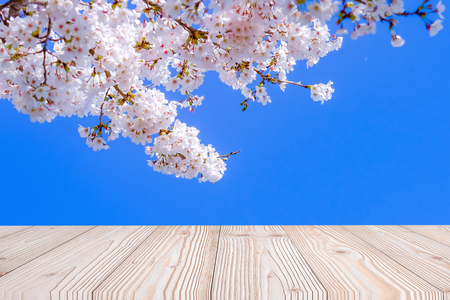 Empty wood table with beautiful pink cherry blossom flower background in spring season, at Lake kawaguchiko, Yamanashi, Japan. Mock up for your product display or montageの写真素材