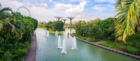 The Supertree grove and Singapore flyer at gardens by the bay. landmark and popular for tourist...