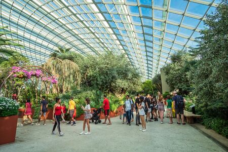 Flower Forest dome at gardens by the bay in Singapore. landmark and popular for tourist attractions. Singapore, 9 May 2019のeditorial素材