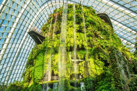 Cloud Forest dome at gardens by the bay in Singapore. landmark and popular for tourist attractions. Singapore, 9 May 2019のeditorial素材