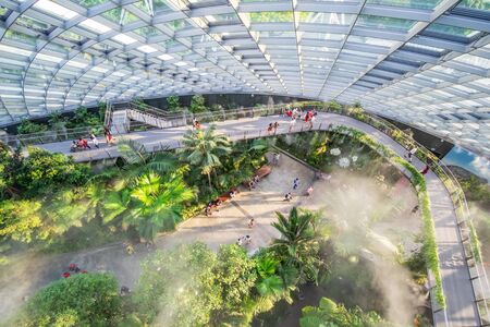 Cloud Forest dome at gardens by the bay in Singapore. landmark and popular for tourist attractions....