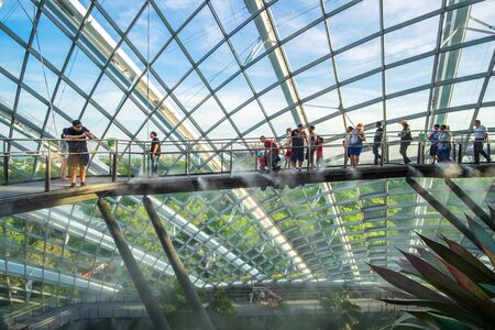 Cloud Forest dome at gardens by the bay in Singapore. landmark and popular for tourist attractions. Singapore, 9 May 2019のeditorial素材