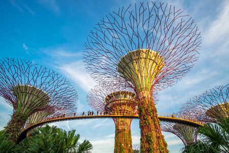 The Supertree groove at gardens by the bay with Marina Bay Sands hotel in Singapore. landmark and popular for tourist attractions. Singapore, 9 May 2019のeditorial素材