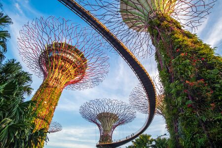 The Supertree groove at gardens by the bay with Marina Bay Sands hotel in Singapore. landmark and popular for tourist attractions. Singapore, 9 May 2019のeditorial素材