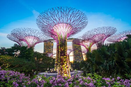 The Beautiful sunset Supertree groove at gardens by the bay with Marina Bay Sands hotel in Singapore. landmark and popular for tourist attractions. Singapore, 9 May 2019のeditorial素材