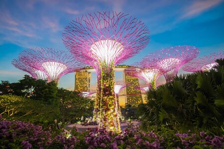 The Beautiful sunset Supertree groove at gardens by the bay with Marina Bay Sands hotel in Singapore. landmark and popular for tourist attractions. Singapore, 9 May 2019のeditorial素材