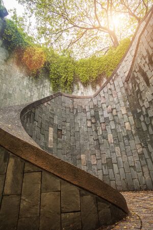 beautiful natural giant tree and underground spiral staircase at Parkの写真素材