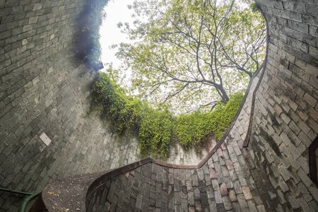 beautiful natural giant tree and underground spiral staircase at Parkの写真素材