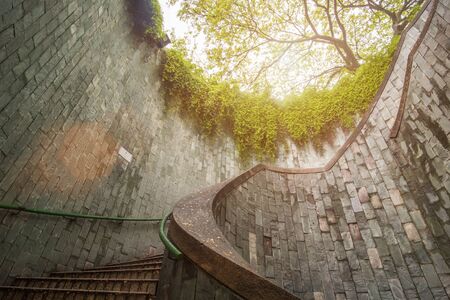 beautiful natural giant tree and underground spiral staircase at Parkの写真素材