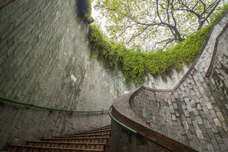 beautiful natural giant tree and underground spiral staircase at Parkの写真素材