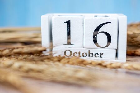 16 October calendar wooden with wheat on table background. Food Donation, Share, Volunteer and World Food day conceptの写真素材
