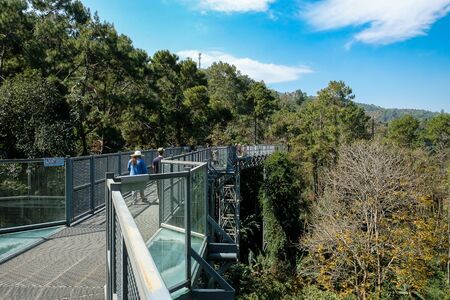 Canopy walkway located at the impressive Queen Sirikit Botanic Gardens in the Mae Rim district in the mountains. Chiang Mai, Thailand, 17 February 2019の写真素材