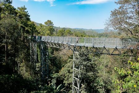 Canopy walkway located at the impressive Queen Sirikit Botanic Gardens in the Mae Rim district in the mountains. Chiang Mai, Thailand,の写真素材