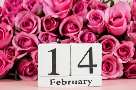 Pink rose flower and 14th February Calendar on pink background. Love, Romantic and Happy Valentines...