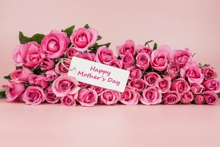Pink Rose flower on pink background with copy space for text. Love and Mother day conceptの写真素材