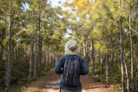 Young man with backpack and hat hiking in mountains during summer season, solo traveler walking in the forest. Travel, adventure and journey conceptの写真素材