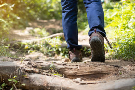 young woman legs walking in mountains, female traveler in hiking shoes trekking on the path in the forest. Travel, adventure and journey conceptの写真素材
