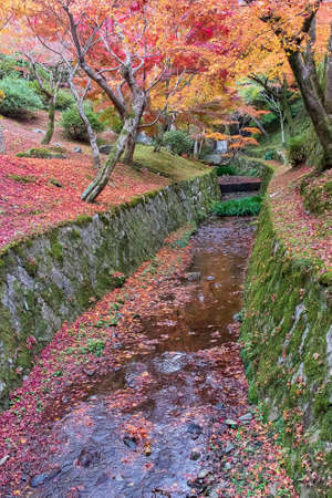 colorful leaves in the garden at Tofukuji temple, landmark and famous for tourist attractions in Kyoto, Japan. Autumn foliage season, vacation and travel conceptの写真素材