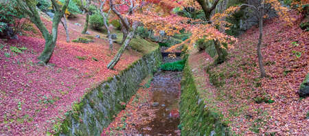 colorful leaves in the garden at Tofukuji temple, landmark and famous for tourist attractions in...