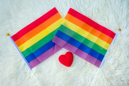 LGBTQ Rainbow flag on white background. Support Lesbian, Gay, Bisexual, Transgender and Queer...