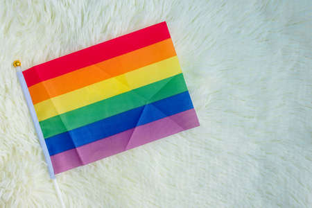 LGBTQ Rainbow flag on white background. Support Lesbian, Gay, Bisexual, Transgender and Queer community and Pride month conceptの写真素材