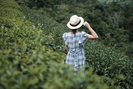 Happy woman tourist in blue dress and hat enjoy beautiful Tea garden.Traveler visiting in green natural hills in morning. travel, vacation, trip and journey conceptの写真素材