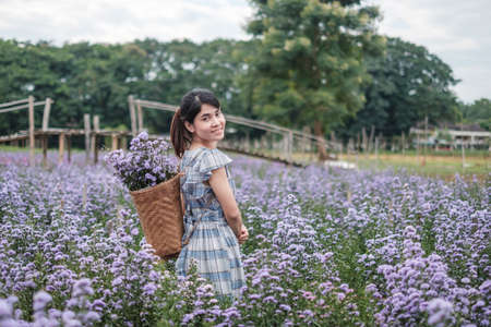 Happy woman tourist in blue dress enjoy in purple Margaret flowers garden. travel, nature, vacation and holiday conceptの写真素材