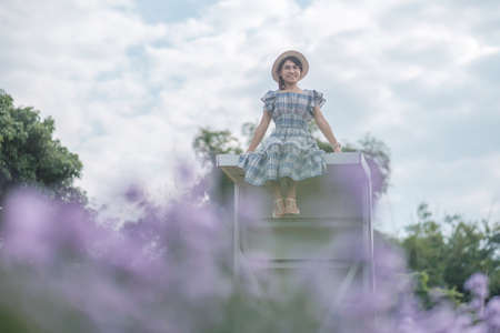 Happy woman tourist in blue dress enjoy in purple Margaret flowers garden. travel, nature, vacation and holiday conceptの写真素材
