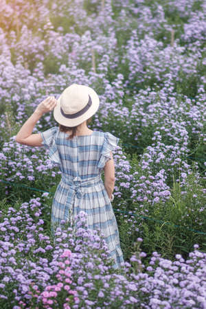 Happy woman tourist in blue dress enjoy in purple Margaret flowers garden. travel, nature, vacation and holiday conceptの写真素材