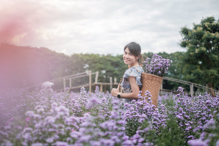 Happy woman tourist in blue dress enjoy in purple Margaret flowers garden. travel, nature, vacation and holiday conceptの写真素材