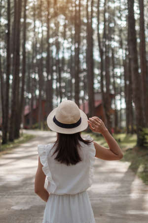 Happy woman in white dress and hat traveling in pine tree forest, tourist visit at Doi Bo Luang, Chiang Mai, Thailand, Landmark and popular for tourist attractions. Vacation and journey conceptの写真素材