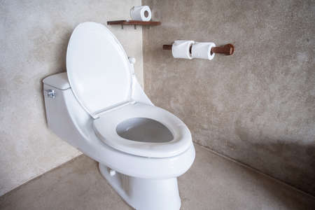 New ceramic toilet bowl and toilet paper. Cleaning, WC, Lifestyle and personal hygiene conceptの写真素材