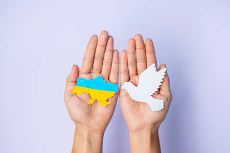 Support for Ukraine in the war with Russia, Hands holding peace dove with border flag of Ukraine. Pray, No war, stop war and stand with Ukraine conceptsの写真素材