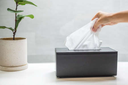 hand pulling toilet paper in bathroom. Cleaning, Lifestyle and personal hygiene concept