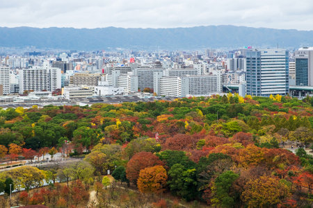 Aerial view of Osaka city around Osaka castle in Autumn foliage season. Osaka, Kansai, Japan, 28 November 2019のeditorial素材