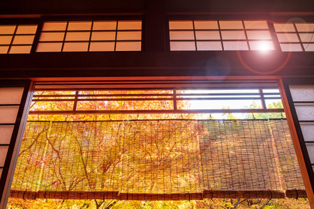 frame between wooden window and beautiful Maple tree in Japanese Garden at Enkoji temple, Kyoto, Japan. Landmark and famous in autumn seasonの写真素材