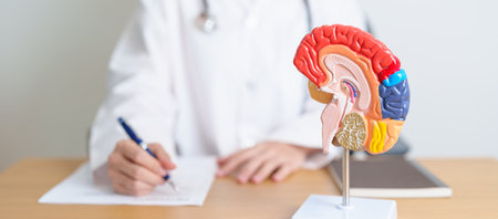 doctor with human Brain anatomy model. World Brain Tumor day, Brain Stroke, Dementia, alzheimer,...