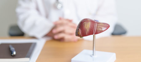 Doctor with human Liver anatomy model. Liver cancer and Tumor, Jaundice, Viral Hepatitis A, B, C, D,...