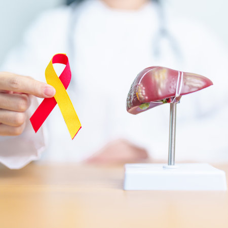 Doctor with Red and Yellow ribbon and human Liver anatomy model. World hepatitis day, 28 July, Liver cancer awareness month, Jaundice, Cirrhosis, Failure, Enlarged, Hepatic Encephalopathy and Healthの写真素材