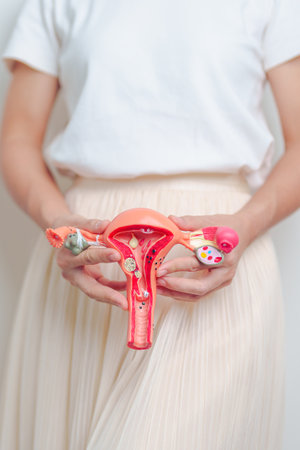 Woman holding Uterus and Ovaries model. Ovarian and Cervical cancer, Endometriosis, Hysterectomy, Uterine fibroids, Reproductive, menstruation, Stomach, Pregnancy and Sexual Transmitted diseaseの写真素材