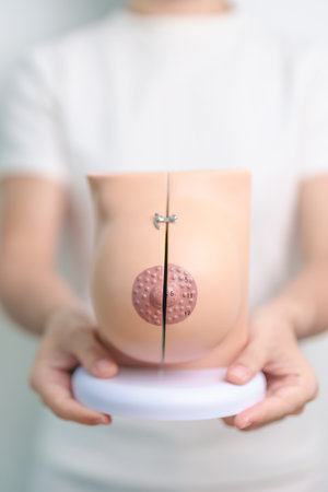 woman holding Breast Anatomy model. Breast Augmentation Surgery, October Breast Cancer Awareness month, implant, Diagnosis, Beauty woman enlargement and medical education conceptの写真素材